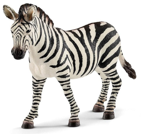 Zebra Female