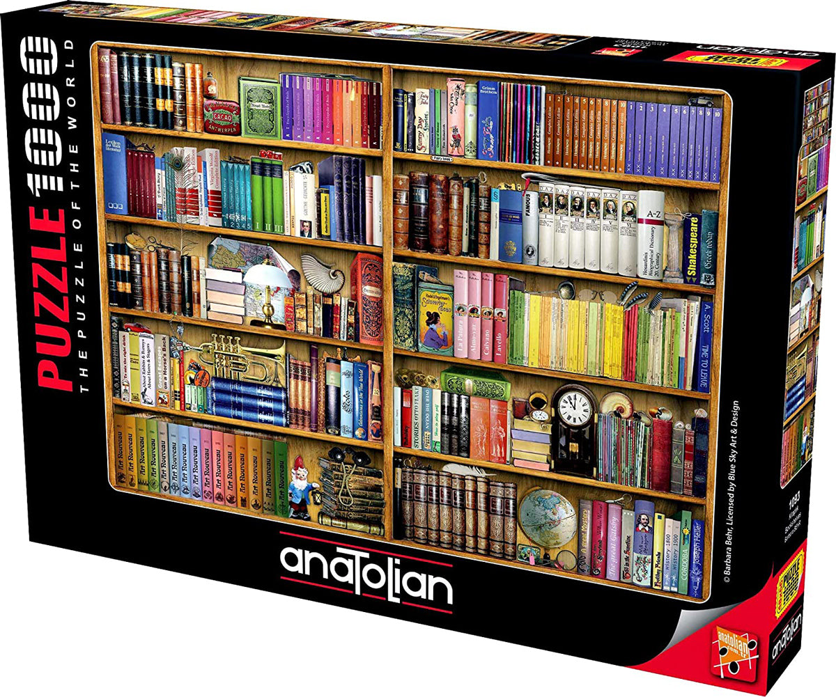 1000pc Bookshelves Puzzle