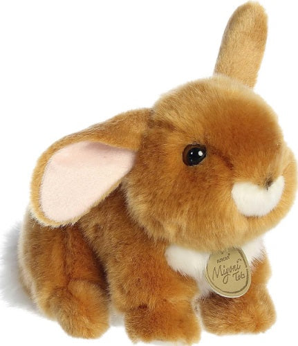 Small rabbit with one ear standing up.