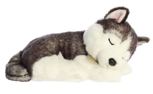 Husky pup laying down with eyes closed.