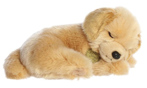Sleeping golden retreiver puppy.