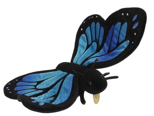 Blue and black butterfly.