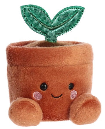 5" Terra Potted Plant