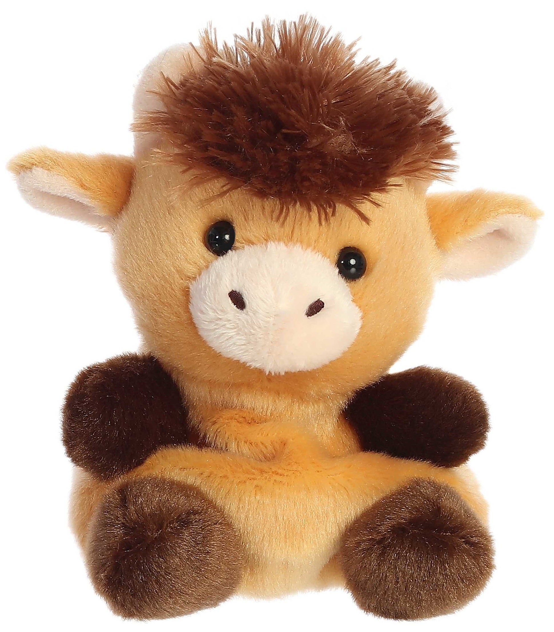 5" Hubert Highland Cow Palm