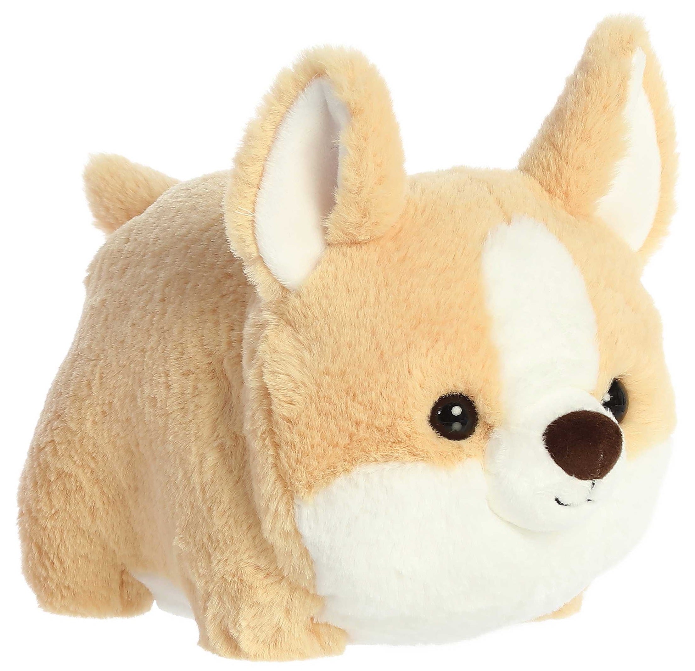 10" Colby Corgi Spudsters