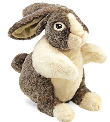 DUTCH RABBIT