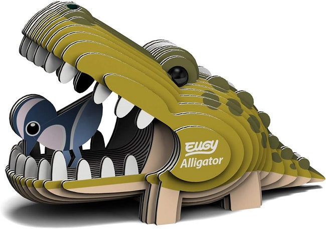 Alligator Eugy