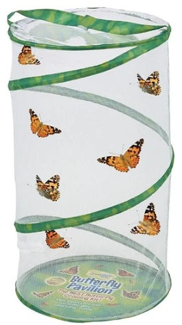 Butterfly Pavilion