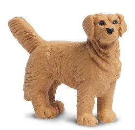 Golden Retreiver Good Luck Min