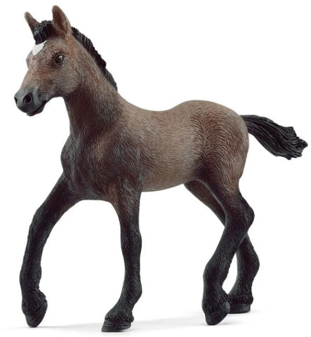 Paso Peruano Foal Horse