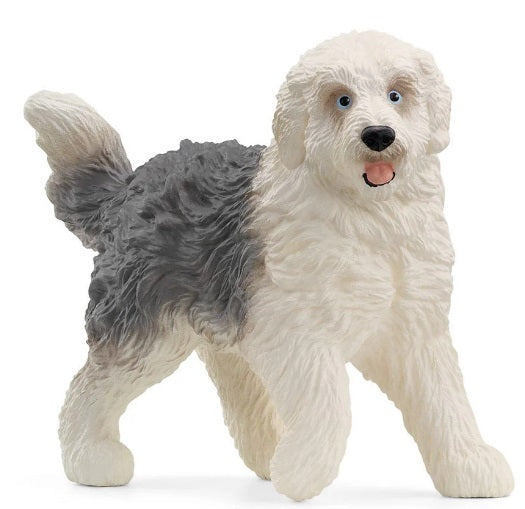 Old English Sheepdog