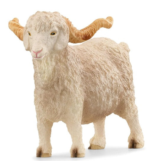 Agnora Goat