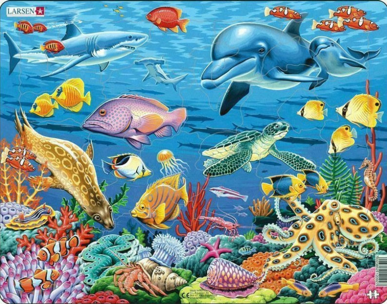 35pc Coral Reef Puzzle