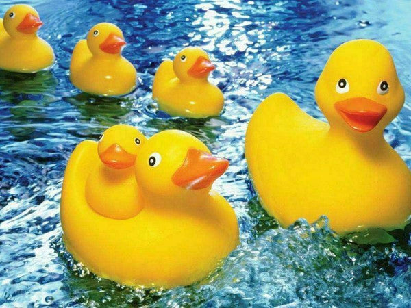 60pc Rubber Duckies Puzzle