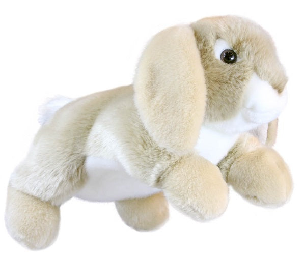 Light brown rabbit with white belly.