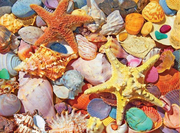 Beach Shells 550pc Puzzle