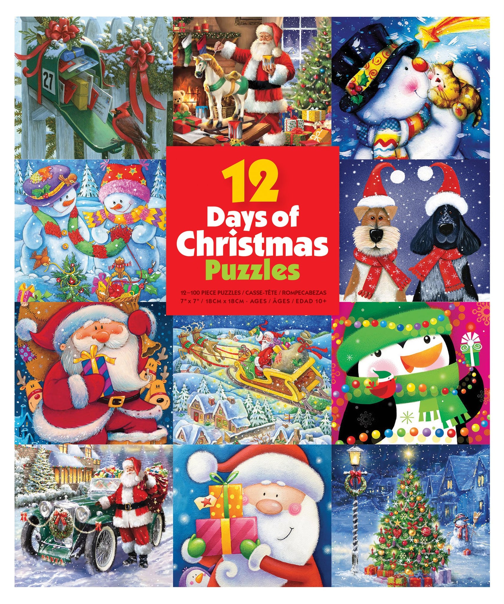 12 Days of Christmas Puzzles 12 100pc Puzzles in 1 box!