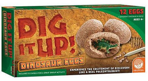 Dig It Up! Dinosaur Eggs