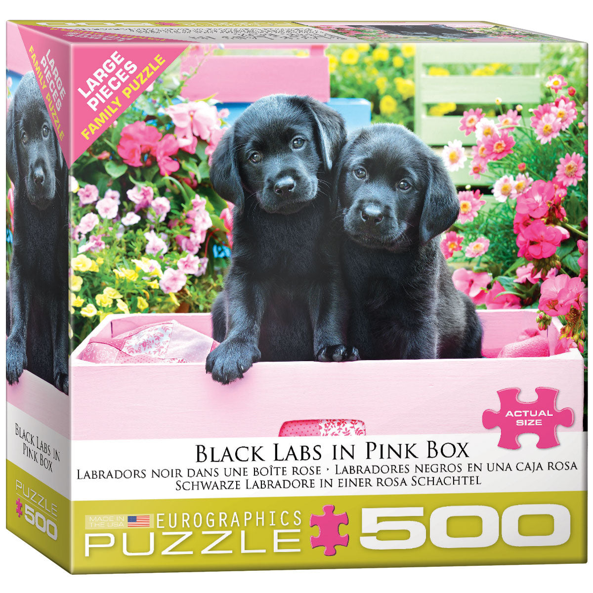 Black Labs in Pink Box 500pc Large Piece Puzzle