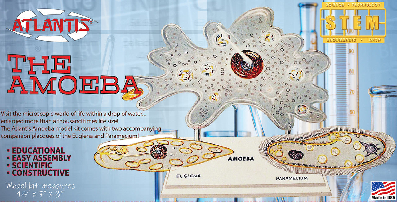 Amoeba Single Cell Model Kit