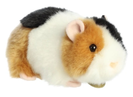 7.5" American Guinea Pig