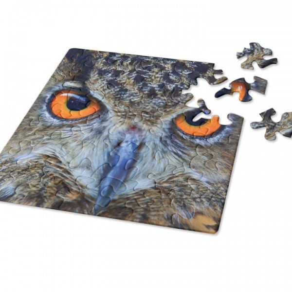 Q Puzzle Animal Owl