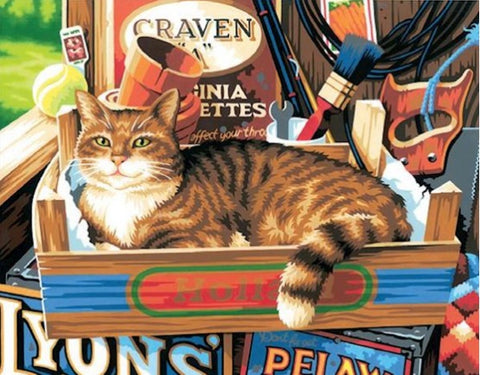 Cat Signs PBN 14x11"