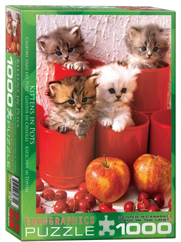 Kittens in Pots 1000pc Puzzle
