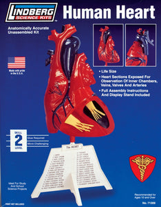 1/1 Human Heart Plastic Model Kit