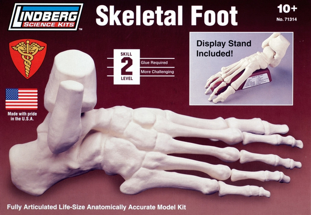 1/1 Skeletal Foot Plastic Model Kit
