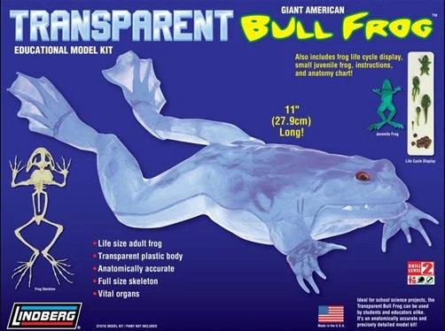 Transparent Bull Frog 11" Long