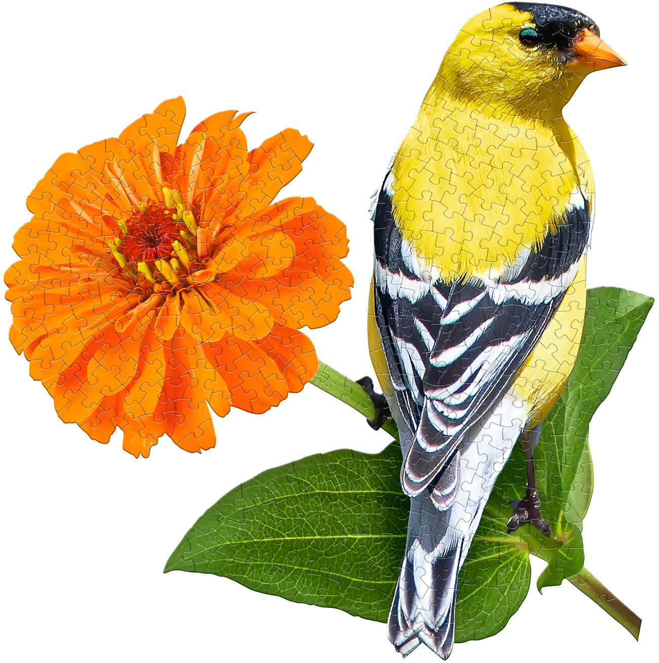 I Am Goldfinch 300pc Puzzle