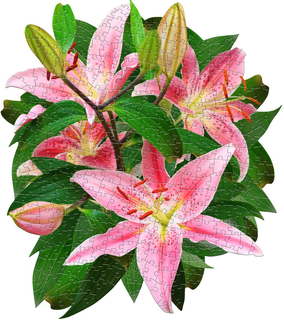 I Am Lily 350pc Puzzle