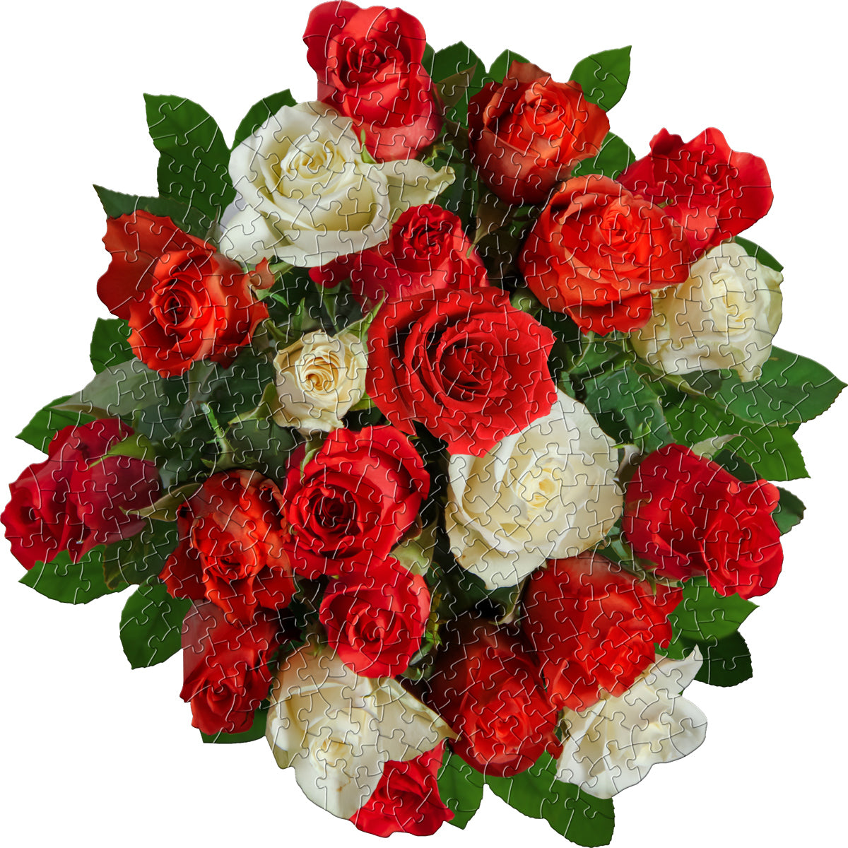 I Am Rose 350pc Puzzle