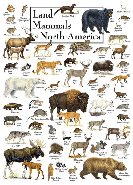 Poster Art - Land Mammals of North America 1000pc Puzzle