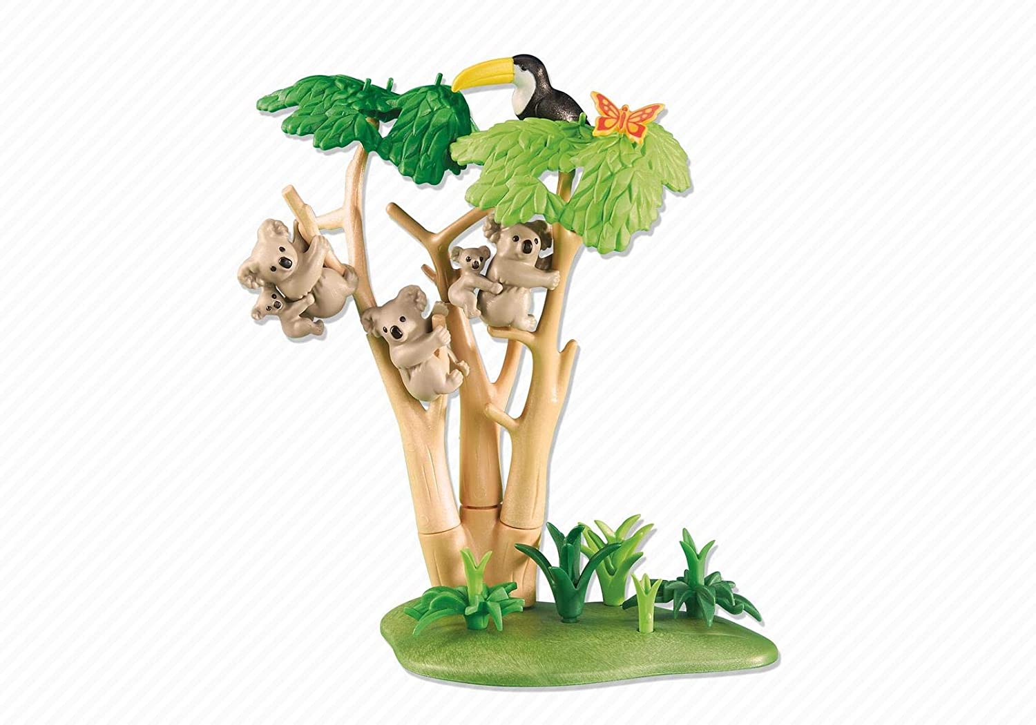 Koala on Eucalyptus Tree