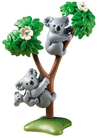 Koala Family