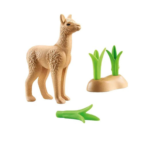 Wiletopia Young Alpaca