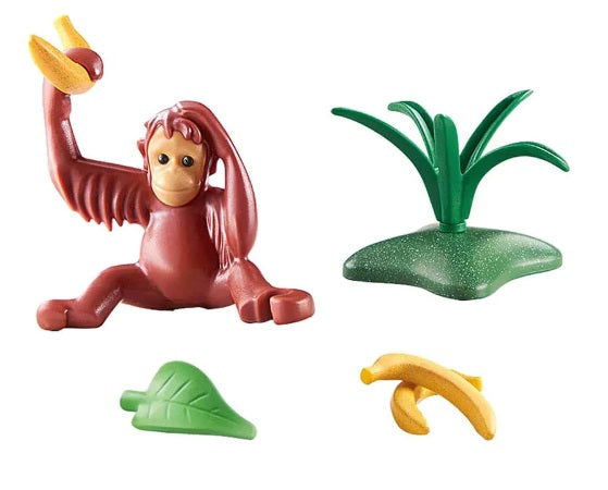 Wiletopia Young Orangutan