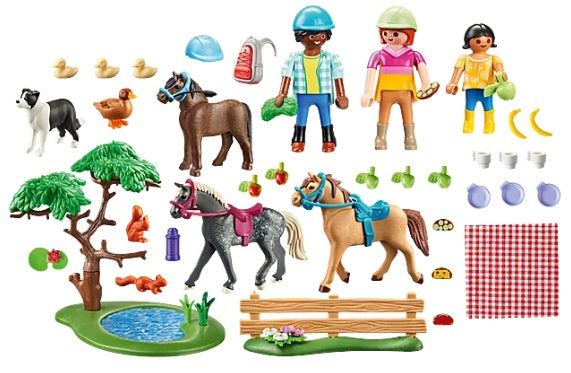 Pinic Adventure with Horses