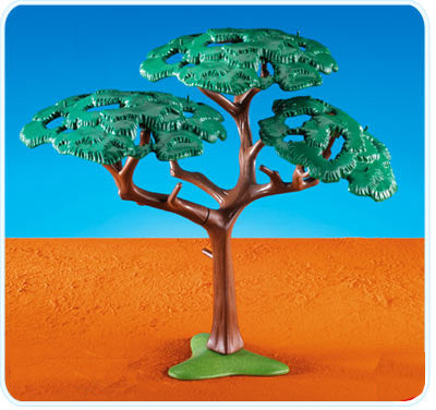 Acacia Tree