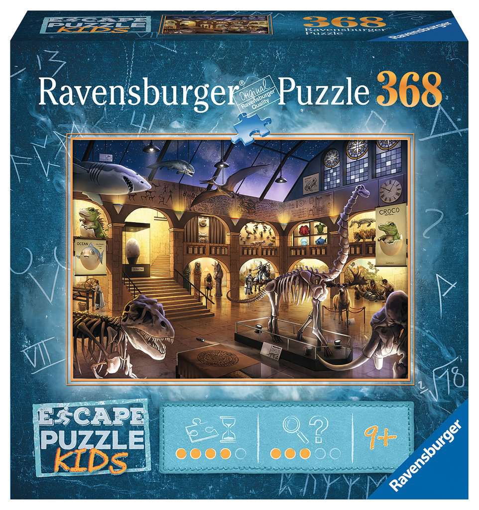 Escape Museum Mysteries Puzzle