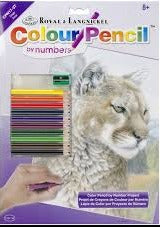COLOR BY NUMBER COUGAR