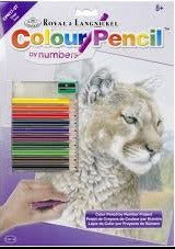 Royal Brush Color By Number Cougar CPN17