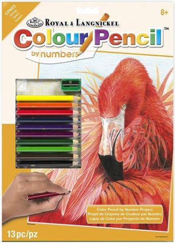 Royal Brush Color Pencil by Number Flamingo