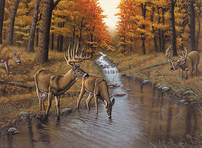 PBN SYMOND'S CREEK (DEER)