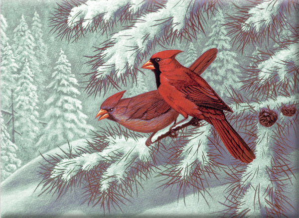 Royal Brush Paint By Number Adult Large Cardinals