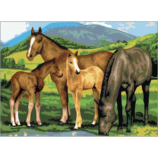 JR PBN HORSES/FOALS