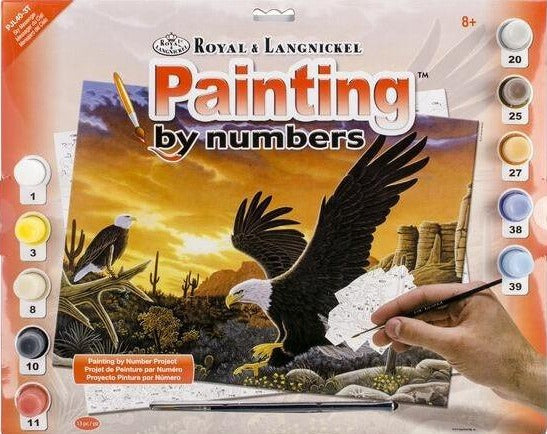 Royal Brush Paint By Number Junior Large Sky Messenger