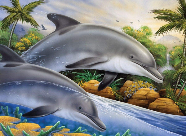 Royal Brush Paint By Number Junior Large Dolphin Island